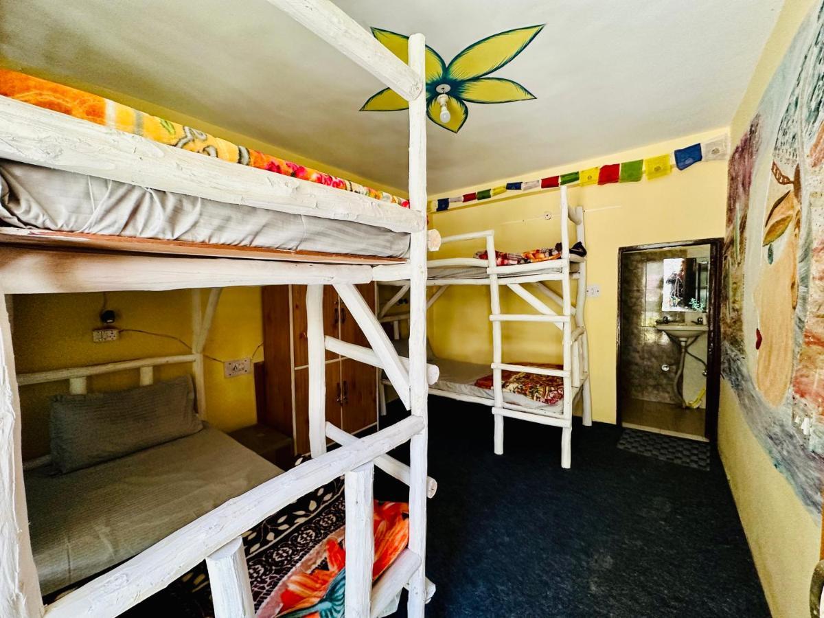 Hostel 360 Degree, Riverside Stay, Old Manali (Himachal Pradesh)