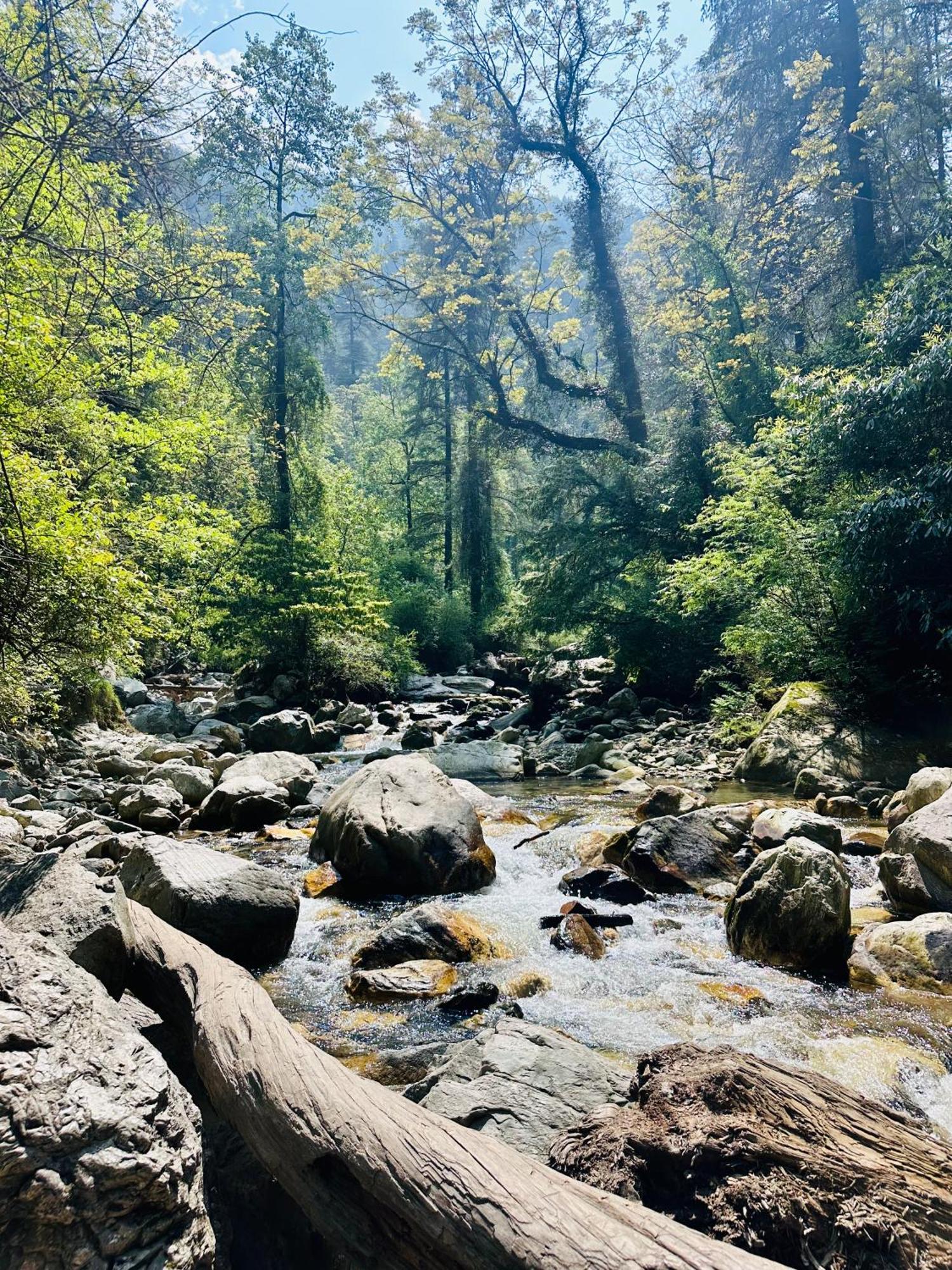360 Degree, Riverside Stay, Old * Manali (Himachal Pradesh)